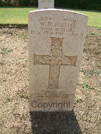 Heliopolis War Cemetery - Forster, William Daniel