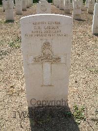 Heliopolis War Cemetery - Gibson, Francis Melville