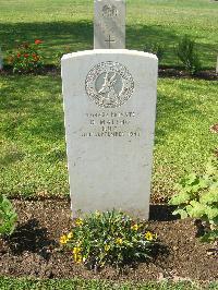 Heliopolis War Cemetery - Maleho, D