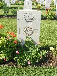 Heliopolis War Cemetery - Melton, William Edward