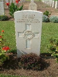 Heliopolis War Cemetery - Reed, Vernon William