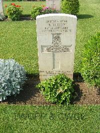 Heliopolis War Cemetery - Robson, Norman