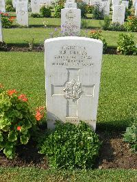 Heliopolis War Cemetery - Shields, Ronald Francis