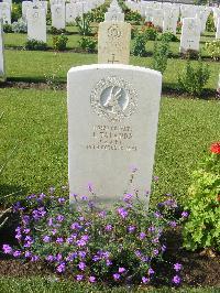 Heliopolis War Cemetery - Talanda, John