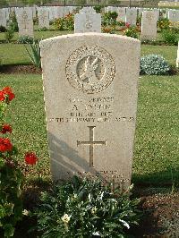 Heliopolis War Cemetery - Tyson, Albert