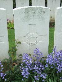 Doullens Communal Cemetery Extension No.1 - Ashton, George