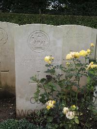 Doullens Communal Cemetery Extension No.1 - Terry, Albert James