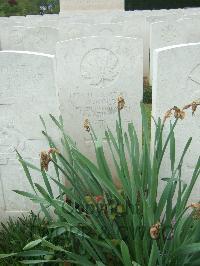 Doullens Communal Cemetery Extension No.1 - Wood, W