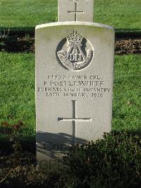 Cite Bonjean Military Cemetery Armentieres - Postlewhite, P