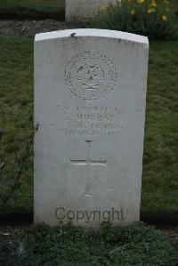 Philosophe British Cemetery Mazingarbe - Murray, T