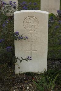 Philosophe British Cemetery Mazingarbe - Taylor, T