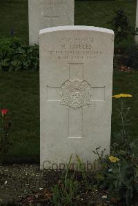 Philosophe British Cemetery Mazingarbe - Tibbles, H
