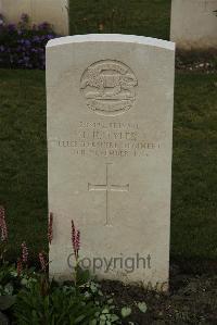 Philosophe British Cemetery Mazingarbe - Tyler, John Henry