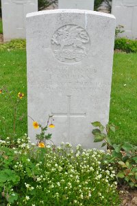 Honnechy British Cemetery - Collins, T