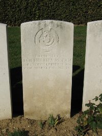 Houchin British Cemetery - Phillips, Tom