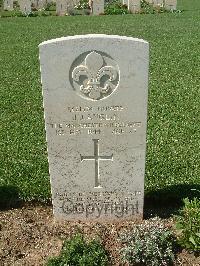 Sangro River War Cemetery - Anglin, John Joseph