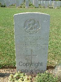 Sangro River War Cemetery - Avis, Robert Frederick