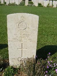 Sangro River War Cemetery - Bailey, Arthur