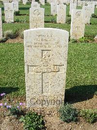 Sangro River War Cemetery - Bailey, Fred