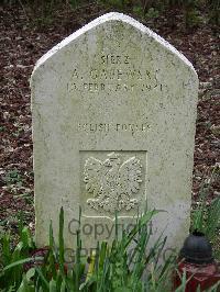 Three Counties Hospital Cemetery&#44; Stotfold - Gajewski, Antoni