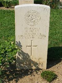 Cassino War Cemetery - Allan, David