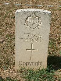 Cassino War Cemetery - Andreou, T