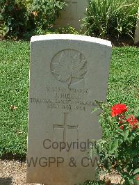 Cassino War Cemetery - Biech, John