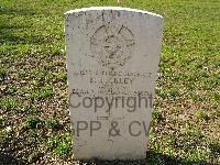 Cassino War Cemetery - Buckley, Bayne