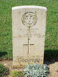 Cassino War Cemetery - Cole, Wilfred Arthur