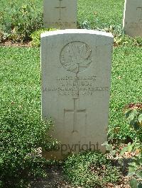 Cassino War Cemetery - Dodds, Alexander Mason