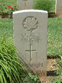 Cassino War Cemetery - Doyle, William Andrew