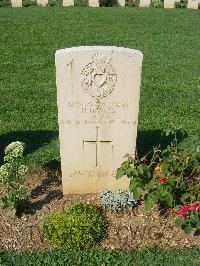 Cassino War Cemetery - Davies, Harold