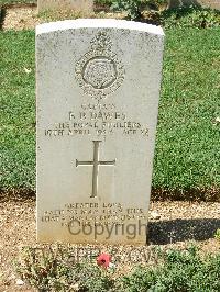 Cassino War Cemetery - Dawes, Frank Philip