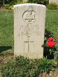 Cassino War Cemetery - Douglass, James Shippen