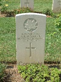 Cassino War Cemetery - Finlayson, Anthony R.