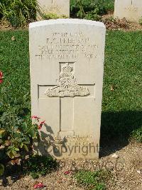 Cassino War Cemetery - Freeman, Reginald Cuthbert