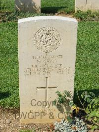 Cassino War Cemetery - Gavin, William