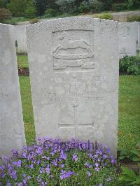 Etaples Military Cemetery - Allison, C