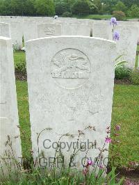 Etaples Military Cemetery - Bevins, William