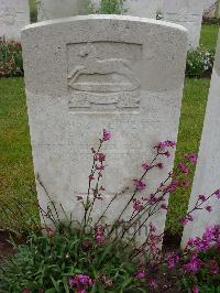 Etaples Military Cemetery - Cass, F