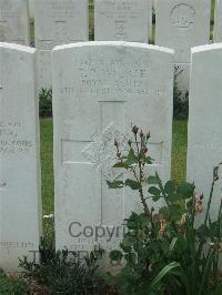 Albert Communal Cemetery Extension - Wilkie, Thomas P.