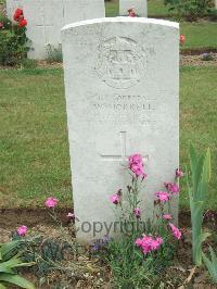 Auchonvillers Military Cemetery - Morrell, William