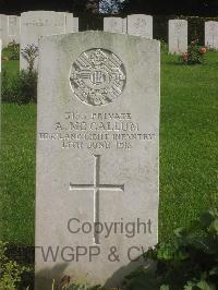 Authuile Military Cemetery - McCallum, A