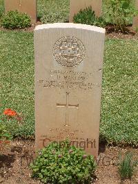 Medjez-El-Bab War Cemetery - Harlow, Thomas Henry