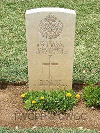 Medjez-El-Bab War Cemetery - Harris, Harold William Alfred