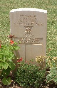 Medjez-El-Bab War Cemetery - Hartley, Robert