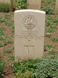 Medjez-El-Bab War Cemetery - Haynes, Frank Albert