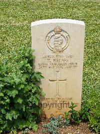 Medjez-El-Bab War Cemetery - Haynes, Harold