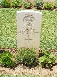 Medjez-El-Bab War Cemetery - Haywood, Harry