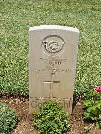 Medjez-El-Bab War Cemetery - Hynes, Thomas